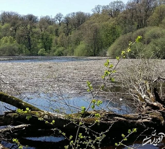 قوشه چشمه در استان گلستان؛ روستایی با پتانسیل پنهان گردشگری | بهترین زالو برای طب سنتی را در سولوکلی پیدا می کنید
